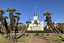  -- Click here to zoom in on this image